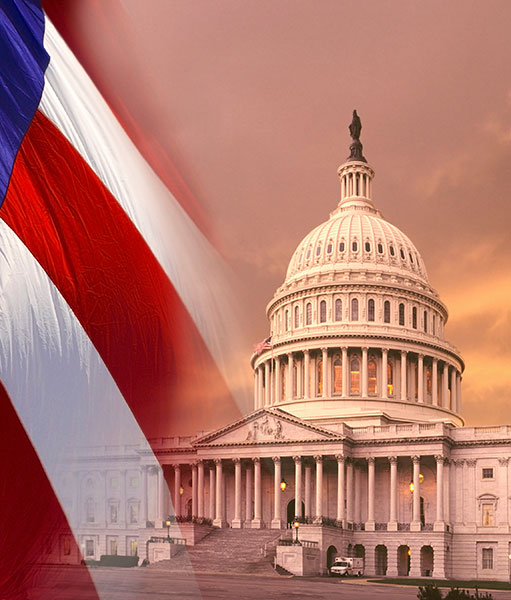 Government Contracting Services