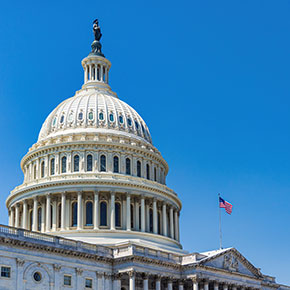 Federal Government Contracts