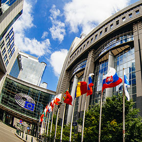International Procurement